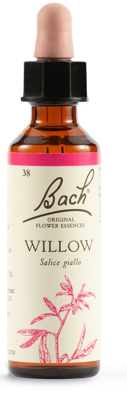 WILLOW BACH ORIG 20 ML - Farmacia-flash.it
