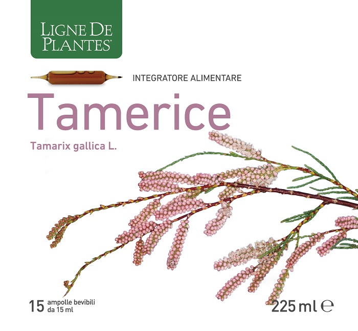 TAMERICE 15 AMPOLLE 15 ML - Farmacia-flash.it