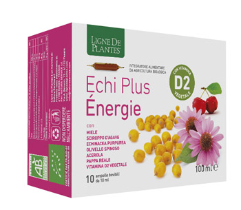 ECHI PLUS ENERGIE 10 AMPOLLE DA 10 ML - Farmacia-flash.it