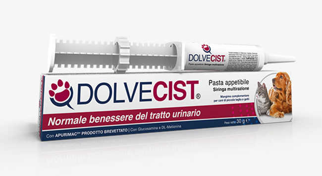 DOLVECIST PASTA SIRINGA 30 G - Farmacia-flash.it