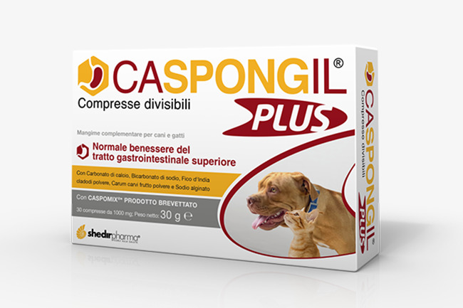 CASPONGIL PLUS 30 COMPRESSE - Farmacia-flash.it
