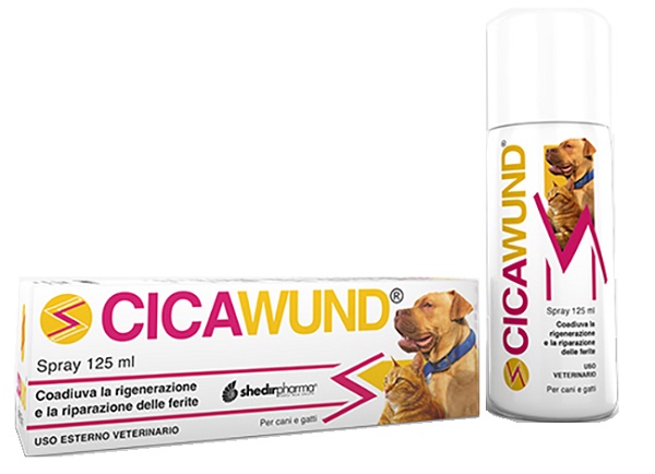 CICAWUND SPRAY 125 ML - Farmacia-flash.it