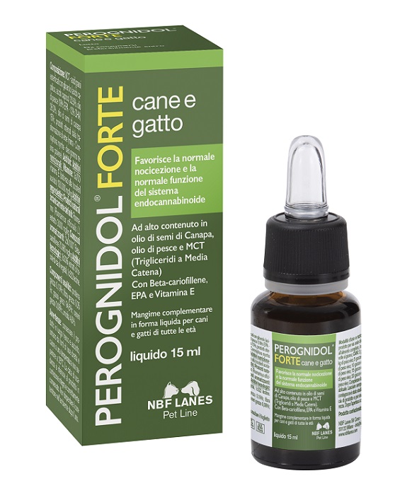 PEROGNIDOL FORTE 15 ML - Farmacia-flash.it