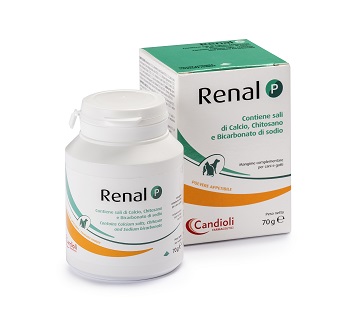 RENAL P MANGIME COMPLEMENTARE PER CANI E GATTI BARATTOLO 70 G - Farmacia-flash.it
