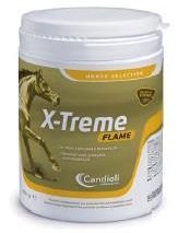 X-TREME FLAME POLVERE BARATTOLO 450 G - Farmacia-flash.it