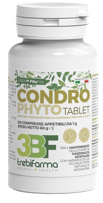 CONDROPHYTO 60 COMPRESSE DA 1 G - Farmacia-flash.it