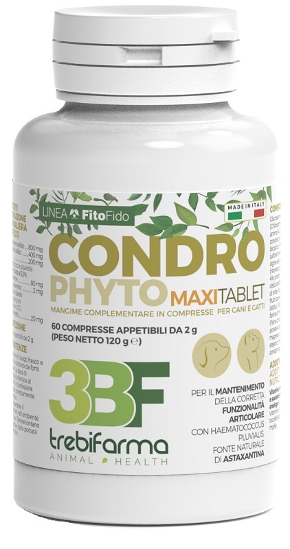 CONDROPHYTO 60 COMPRESSE 2 G - Farmacia-flash.it