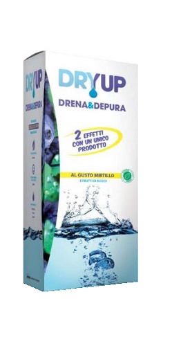 DRYUP MIRTILLO 300 ML - Farmacia-flash.it