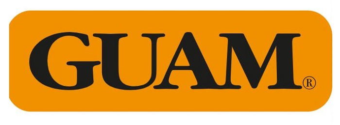 GUAM PANTY VENTRE PIATTO SNELLENTE XS-S 38-40 - Farmacia-flash.it