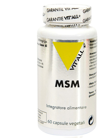 MSM 60 CAPSULE - Farmacia-flash.it