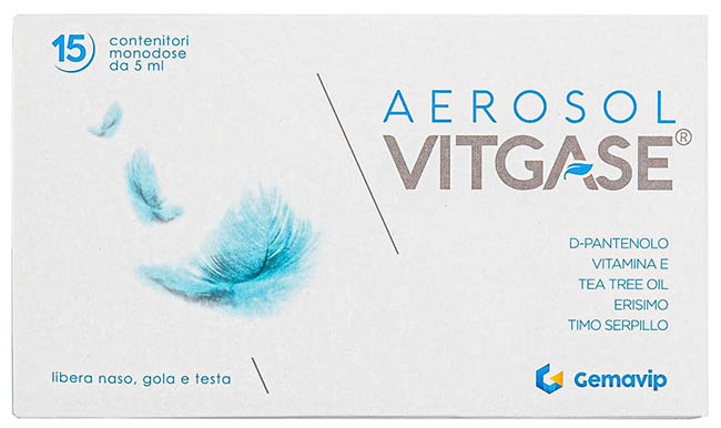 VITGASE AEROSOL 15 FLACONCINI 5 ML - Farmacia-flash.it