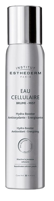 INSTI EAU CELLULAIRE BRUME 100 ML - Farmacia-flash.it