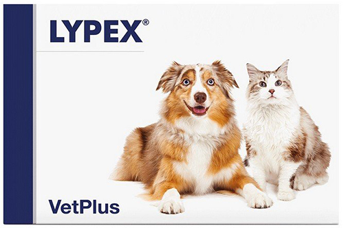 LYPEX 60 CAPSULE - Farmacia-flash.it