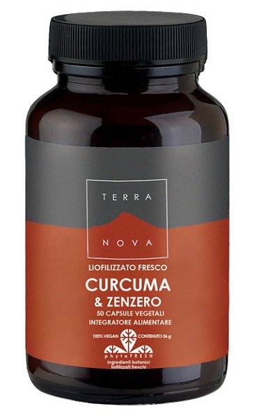 TERRANOVA CURCUMA 400MG/ZENZERO 200MG 50 CAPSULE - Farmacia-flash.it