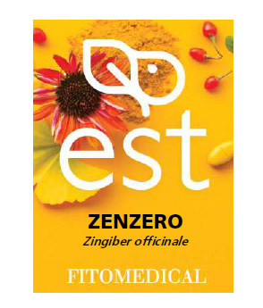 ZENZERO ESTRATTO SECCO 60 TAVOLETTE - Farmacia-flash.it