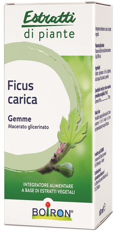 FICUS CARICA GEMME MACERATO GLICERINATO 60 ML INT - Farmacia-flash.it