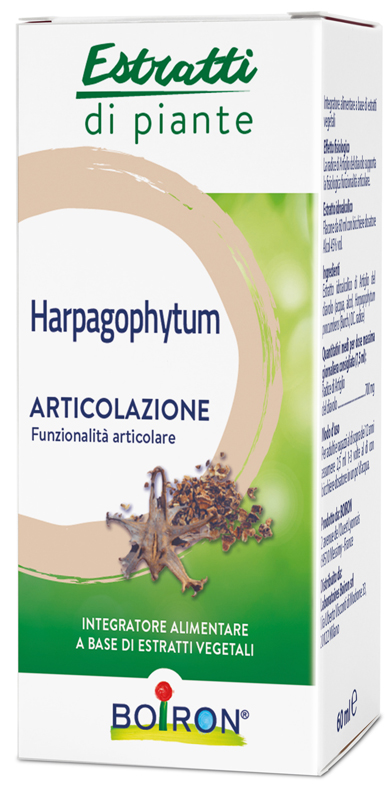 HARPAGOPHYTUM ESTRATTO IDROALCOLICO 60 ML INT - Farmacia-flash.it