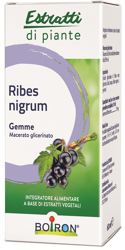 RIBES NIGRUM MACERATO GLICERICO 60 ML INT - Farmacia-flash.it