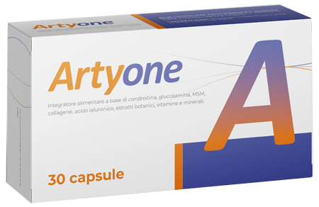 ARTYONE 30 CAPSULE - Farmacia-flash.it