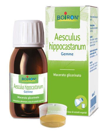 AESCULUS HIPPOCASTANUM MACERATO GLICERICO 60 ML INT - Farmacia-flash.it