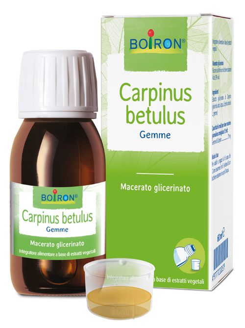 CARPINUS BETULUS MACERATO GLICERICO 60 ML INT - Farmacia-flash.it