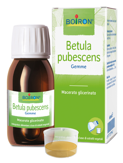 BETULA PUBESCENS MACERATO GLICERICO 60 ML INT - Farmacia-flash.it