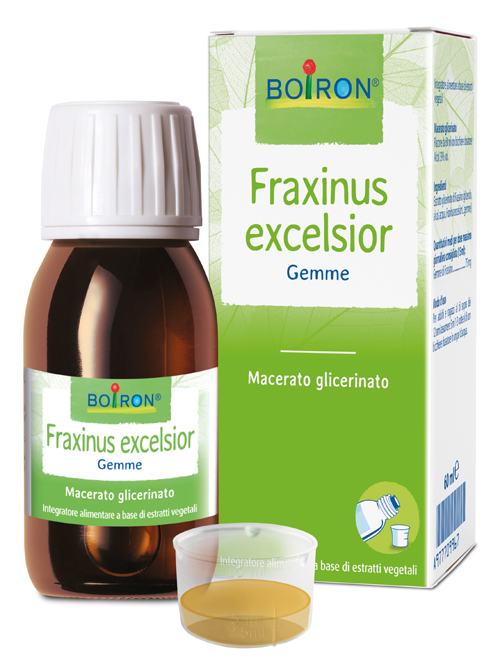 FRAXINUS EXCELSIOR MACERATO GLICERICO 60 ML INT - Farmacia-flash.it