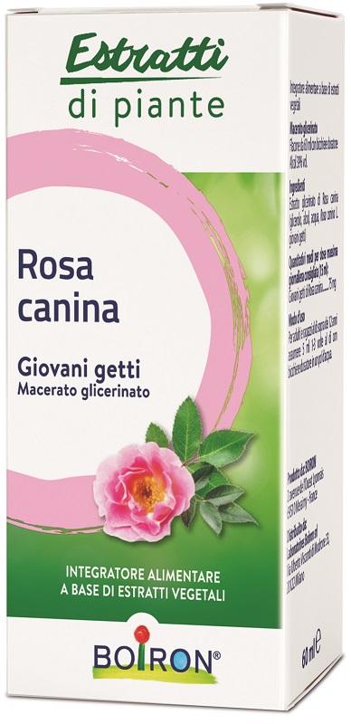 ROSA CANINA MACERATO GLICERICO 60 ML INT - Farmacia-flash.it