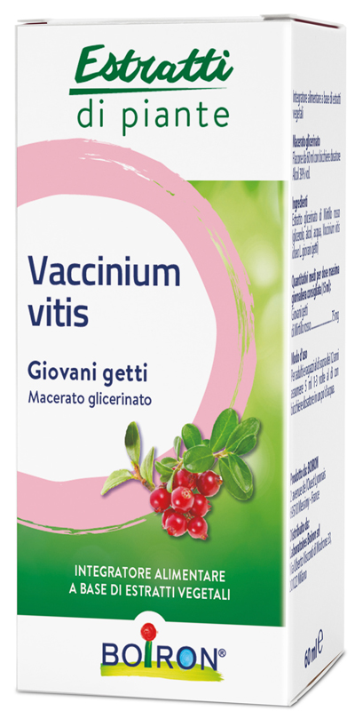 VACCINIUM VITIS MACERATO GLICERICO 60 ML INT - Farmacia-flash.it
