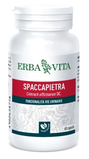 SPACCAPIETRA 60 CAPSULE - Farmacia-flash.it