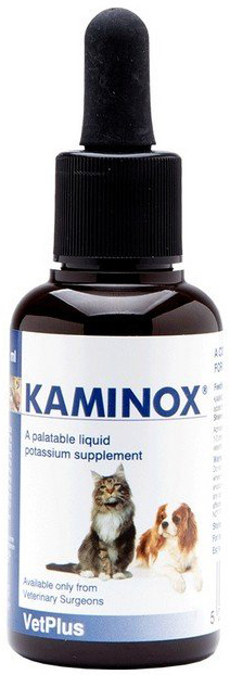 KAMINOX SCIROPPO 60 ML - Farmacia-flash.it