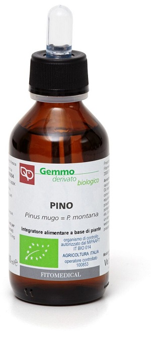 PINO MACERATO GLICERICO 100 ML BIO - Farmacia-flash.it