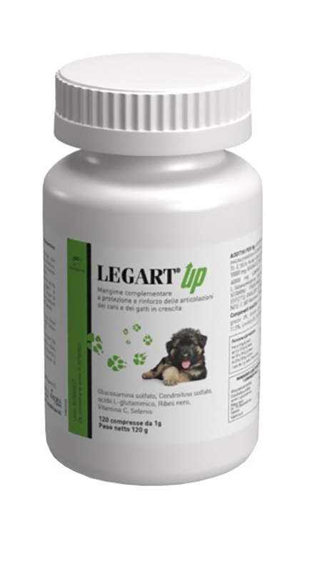LEGART UP 120 COMPRESSE - Farmacia-flash.it