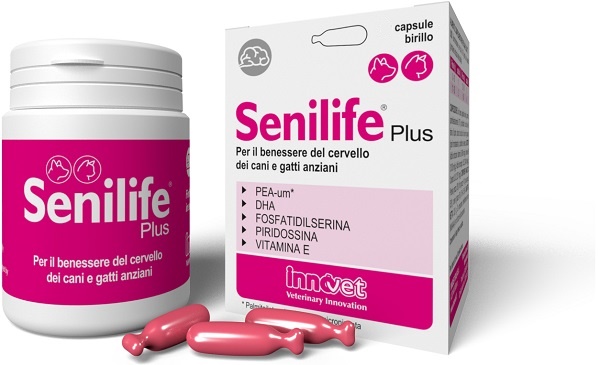 SENILIFE PLUS 30 CAPSULE - Farmacia-flash.it