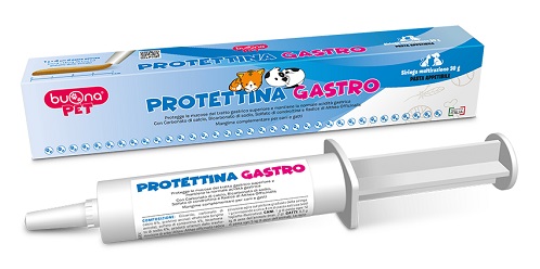 PROTETTINA GASTRO PASTA IN SIRINGA 30 G - Farmacia-flash.it