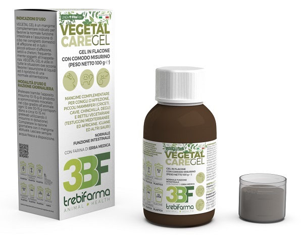 VEGETAL CARE GEL FLACONE 100 G - Farmacia-flash.it