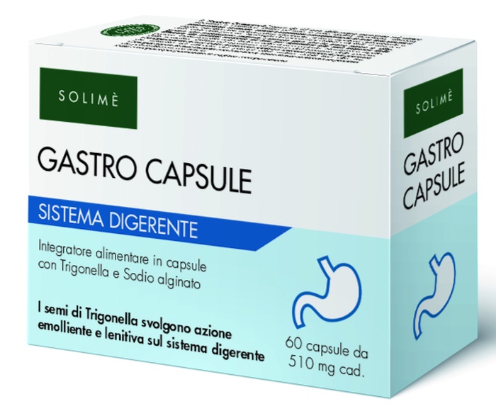 GASTRO CAPSULE 60 CAPSULE - Farmacia-flash.it