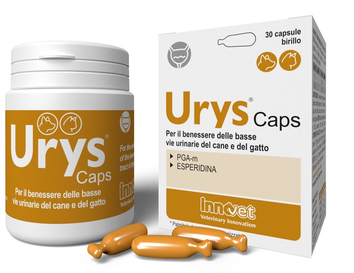 URYS CAPS 30 CAPSULE - Farmacia-flash.it