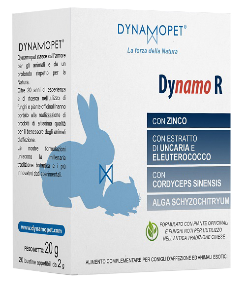 DYNAMO R 20 BUSTINE DA 2 G - Farmacia-flash.it